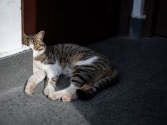 -龙华寺