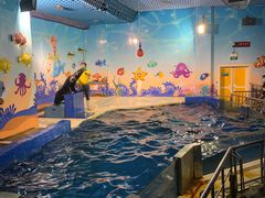 -太平洋海底世界