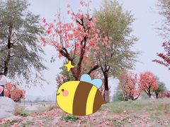 -汉长安城未央宫国家考古遗址公园