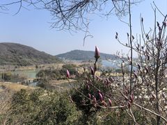 -南北湖风景区
