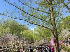 -元大都城垣遗址公园