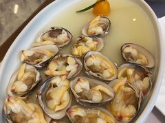 -喜鼎海胆水饺(平安金融中心店)