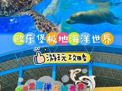 -泉城欧乐堡海洋极地世界