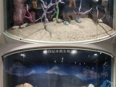 -中国第四纪冰川遗迹陈列馆