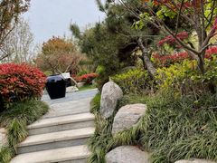 -思念果岭悦温泉