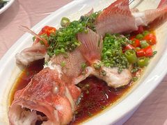 -金汇酒楼(中山东区店)