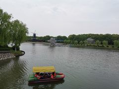 -上海鲜花港