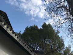 -上海佘山国家森林公园天马山园