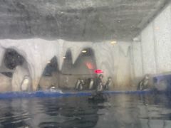 -太平洋海底世界