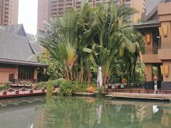 -三亚湾红树林度假世界(木棉酒店)