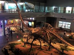-自贡恐龙博物馆