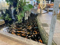 -荔城生鲜盛宴(番禺旗舰店)