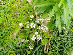 -福建鲤鱼洲酒店