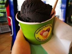 -Dooley's Premium Ice Cream