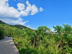 -府君山公园