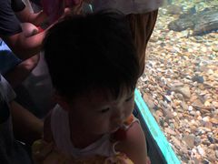 -常州海昌海洋探索馆