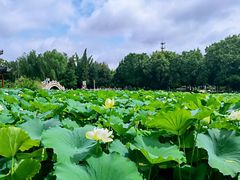 -莲池书院博物馆