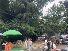 -桂林兴坪漓江