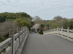 -太子山公园(园东路)