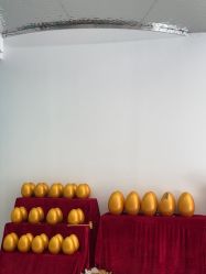 -杭州整形医院·国际部