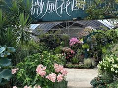 -自由生长植物工作室(深港花卉中心店)