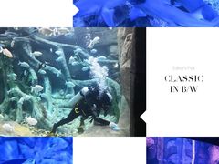 -波塞冬旅游度假区