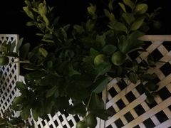 -墨居上隐·院子里火锅(峨眉店)