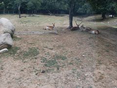 -西安秦岭野生动物园