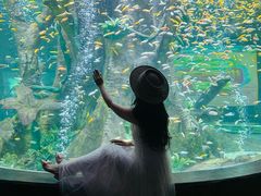 -合肥海洋世界