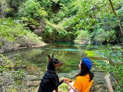 -叠溪松坪沟景区