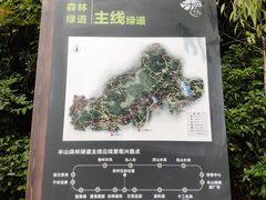 -杭州半山国家森林公园