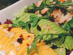 -PlantsEatery·植物食堂(REX春熙店)