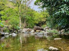 -广州市石门国家森林公园