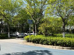 -贡湖湾湿地公园
