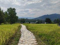 -塔川景区