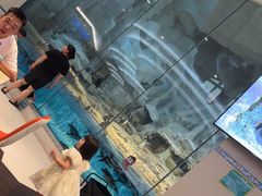 -帝企鹅自助餐厅•儿童岛•真企鹅(长隆企鹅酒店)