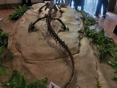 -自贡恐龙博物馆