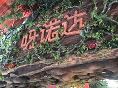 -呀诺达热带雨林