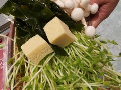 -一绪に寿喜烧(虹悦城店)