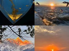 -巧克力渔家.小船海鲜胶东菜(万平口店)