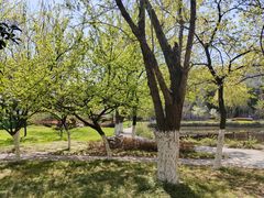 -南京中医药大学(仙林校区)