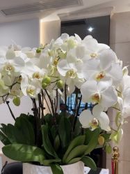 点击看大图 -深圳阳光医疗美容医院·旗舰店