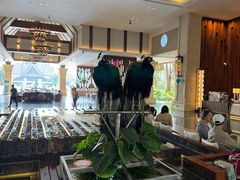 -西双版纳融创皇冠假日度假酒店