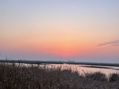 -盐城丹顶鹤湿地生态旅游区