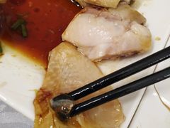 -粤·向群饭店(龙津东路总店)