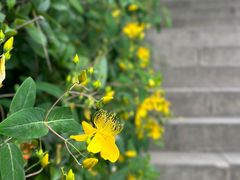 -狼山风景名胜区