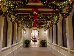 -环球影城莲花园 The Lotus Garden Universal Studios 