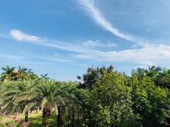 -逸廊大堂吧(三亚海棠湾万丽度假酒店)