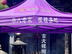 -大槐树寻根祭祖园