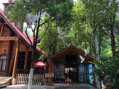 -合肥滨湖国家森林公园